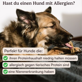 Ein Hund, der einen Leckerbissen kaut, mit dem Text, der fragt, ob die Zuschauer Hunde mit Allergien haben und geeignete Bedingungen auflistet: niedriger Proteinbedarf und Nierenerkrankung.