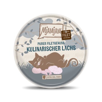 Nassfutter Katze Adult, Purer Filetgenuss 16x80 g Lachs