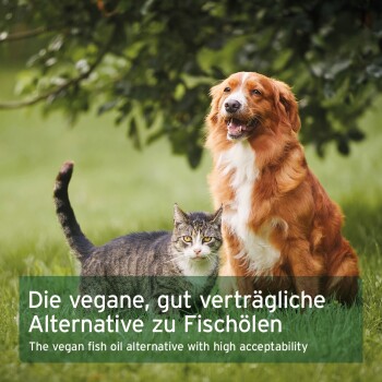 Braun-weißer Hund und getigerte Katze im Gras; Einblendung (deutsch/englisch): vegane Alternative zu Fischöl.