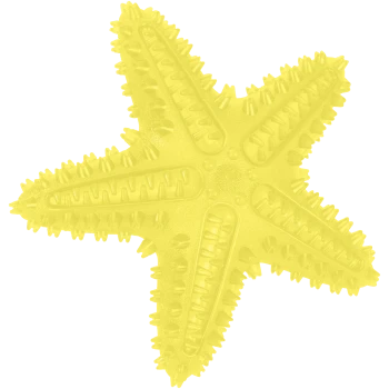 Gelbes Gummi-Seestern-Kauspielzeug mit strukturierten Stacheln und gerippten Armen.