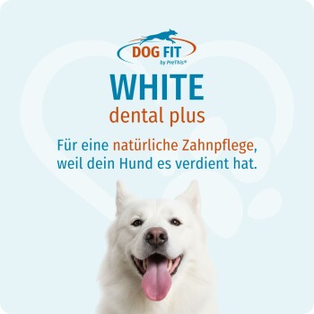 Lächelnder weißer Hund unter dem 'DOG FIT'-Logo und der Aufschrift 'WHITE dental plus' mit deutschem Slogan über natürliche Zahnpflege.