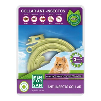 Insektenhalsband Katze 30 cm