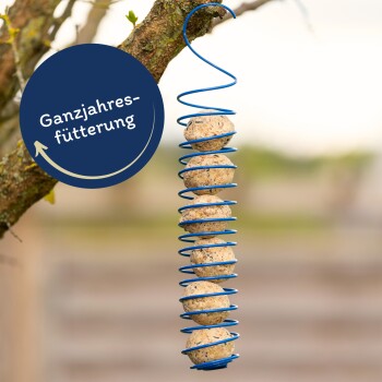 Ein blauer Spiral-Futterspender, der von einem Baumzweig hängt und mehrere Vogelfutterbälle hält, mit einem runden Etikett, das "Ganzjahresfütterung" liest.