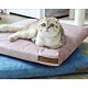 Eine Scottish Fold Katze mit großen blauen Augen liegt auf einem rosa Haustierbett, das auf einem blauen Haustierbett ruht, beide beschriftet mit "RexProduct.com."