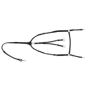 Schwarzes Haustiergeschirr mit goldenen Metallakzenten, mit mehreren verstellbaren Riemen und Befestigungspunkten für Leinen.