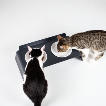 Zwei Katzen (schwarz-weiß und getigert) fressen aus einem dunkelgrauen erhöhten Doppelnapf-Futterspender mit weißen Näpfen vor weißem Hintergrund.