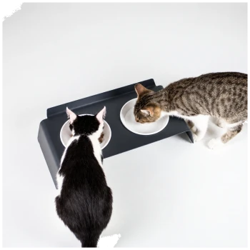 Zwei Katzen (schwarz-weiß und getigert) fressen aus einem dunkelgrauen erhöhten Doppelnapf-Futterspender mit weißen Näpfen vor weißem Hintergrund.