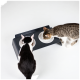 Zwei Katzen (schwarz-weiß und getigert) fressen aus einem dunkelgrauen erhöhten Doppelnapf-Futterspender mit weißen Näpfen vor weißem Hintergrund.