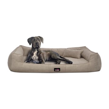 Tierlando ® BRUCE VELOURS Orthopädisches Hundebett Soft beige 1,3 m, 25 cm, 1 m