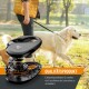 Schwarze auseinandergebaute Rollleine im Vordergrund, eine Person führt einen Golden Retriever im Park; sichtbarer Text: QUALITÄTSPRODUKT