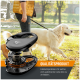 Schwarze auseinandergebaute Rollleine im Vordergrund, eine Person führt einen Golden Retriever im Park; sichtbarer Text: QUALITÄTSPRODUKT