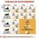 Tableau détaillant les directives d'alimentation pour les chats en fonction de leur poids, montrant les quantités quotidiennes recommandées de croquettes et d'options de nourriture humide.
