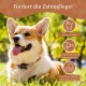 Ein glücklicher Corgi auf Gras mit dem Text 'Fördert die Zahnpflege!' und Symbolen für zahnmedizinische Vorteile: reinigt Zähne, reduziert Zahnstein, erfrischt den Atem.