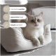 Eine hellfarbige Katze ruht sich in einem beigen Haustierbett auf einer weißen Oberfläche aus, beschriftet mit "der Lieblingsplatz der Katzen".