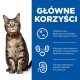 Tabby kot z zielonymi oczami i czerwoną obrożą siedzi na niebieskim tle z tekstem po polsku o korzyściach zdrowotnych dla układu moczowego.