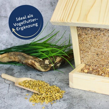 Holz-Vogelfutterspender mit Samen und einer Schaufel auf einer strukturierten Oberfläche, mit einer Sprechblase: "Ideal als Vogelfutter-Ergänzung."