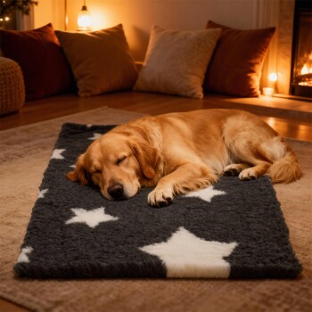 Golden Retriever schläft auf einem dunkelgrauen, sternenmusterbezogenen Haustierbett in einem gemütlichen Wohnzimmer mit warmem Licht.