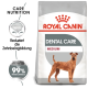 Royal Canin Dental Care Hundefutterbeutel mit einem mittelgroßen Hund, mit Text, der die reduzierte Plaquebildung und bis zu 99% weniger Zahnstein hervorhebt.