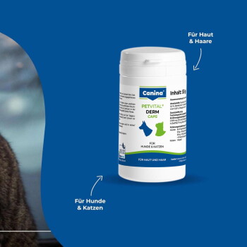 Weiße Canina Petvital Derm Caps‑Flasche für Hunde und Katzen auf blauem Hintergrund; Aufschrift „Für Haut & Haare“ und „Für Hunde & Katzen“.