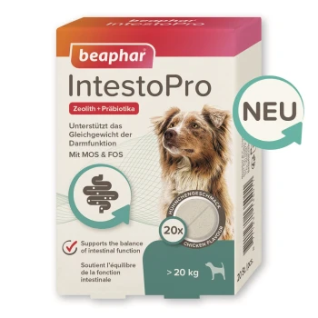 Beaphar IntestoPro für Hunde Verpackung, mit einem braunen und weißen Hund, der die intestinale Balance und Hühnergeschmack für Hunde über 20 kg bewirbt.