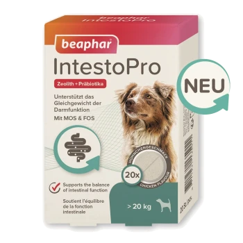 Emballage de Beaphar IntestoPro pour chiens, mettant en avant un chien brun et blanc, promouvant l'équilibre intestinal et la saveur de poulet pour les chiens de plus de 20 kg.