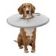 Ein Hund trägt einen weichen, grauen aufblasbaren Kragen und sitzt ruhig, entworfen, um zu verhindern, dass er seine Wunden leckt oder beißt.