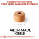Labrador Retriever Chiot Croquettes Chien 12 kg