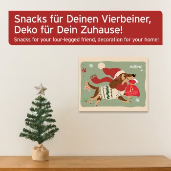 Festliches Bild der Tierfütterung mit einem Hund, "AniForte" Kalender markiert 22, und zweisprachigem Text, der das tägliche Türöffnen bewirbt.