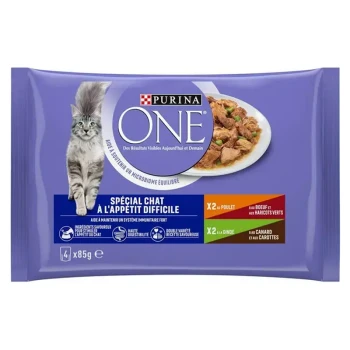 Emballage de nourriture pour chats Purina ONE présentant un chat tigré gris, étiqueté 'Spécial chat à l'appétit difficile,' avec des saveurs incluant poulet, bœuf et canard.
