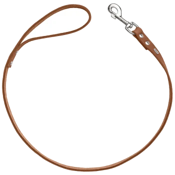 Braune Leder-Hundeleine mit einem silbernen Metallclip, vor einem weißen Hintergrund präsentiert.