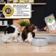 Zwei Hunde an einer Theke, denen Nassfutter aus einem ‚Komplett‑MIX‘‑Beutel mit einem Löffel gefüttert wird; DLG‑Siegel mit der Aufschrift 'BARF‑Alleinfuttermittel' sichtbar.