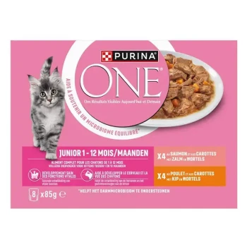 L'emballage de nourriture pour chats Purina ONE montre un chaton gris, adapté aux 1-12 mois, avec des saveurs de saumon et de poulet.