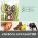 Das Bild zeigt einen Hund im Gras, mit einem Text, der den Schutz vor Parasiten wie Zecken, Flöhen, Mücken und Milben bewirbt.