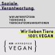Hundehalsband gepolstert u. verstellbar grau M