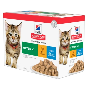 Hill's Science Plan kitten food box featuring a playful tabby cat, labeled "Favourite Selection," with 6 chicken and 6 ocean fish servings.