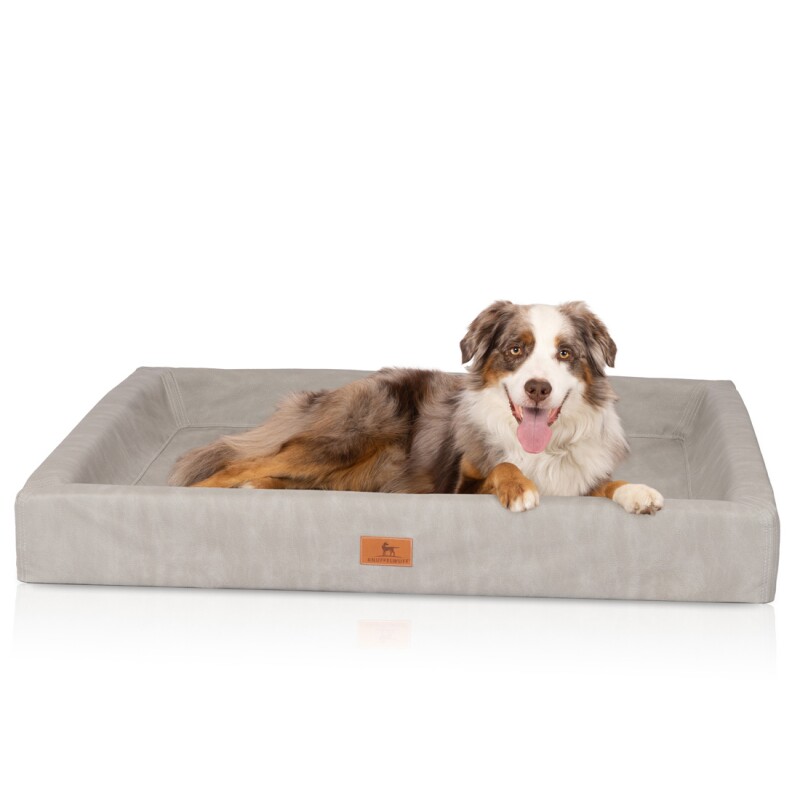 Knuffelwuff Orthopädisches Hundebett Austin Aus Kunstleder