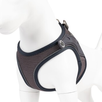Graues Mesh-Hundegeschirr mit schwarzem Rand an weißem Mannequin, mit Metallringen und Pfotenknopf.