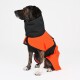 Ein Hund, der einen leuchtend orangefarbenen und schwarzen wasserdichten Regenmantel trägt, sitzt aufrecht vor einem schlichten weißen Hintergrund.