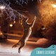 Ein Golden Retriever springt nachts im Schnee, trägt ein leuchtendes Halsband, mit dem Text "Dein Bester Freund IMMER SICHTBAR" in der Ecke.
