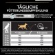 Tägliche Fütterungsempfehlung für Hunde mit Aktivitätslevel und Gewicht, zeigt Futtermenge in Gramm pro Tag für verschiedene Gewichte.