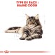 Maine Coon Adulte Croquettes Chat 400 g
