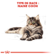 Illustration d'un chat Maine Coon avec des yeux verts, se prélassant confortablement, accompagnée du texte "TYPE DE RACE : MAINE COON" en rouge gras.