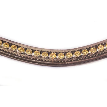 Eine Nahaufnahme eines dekorativen Haustierhalsbandes mit einer Reihe von funkelnden gelben Strasssteinen, die in einem geflochtenen Lederband eingesetzt sind.