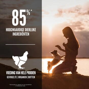 Een vrouw in een geruite blouse knielt bij een kleine hond bij zonsondergang, met tekst die zegt '85% Hoogwaardige Dierlijke Ingrediënten' en 'Voeding van Hele Prooien.'