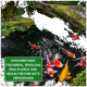 Bunte Koi-Fische schwimmen in einem grünen Teich mit einer Überlagerung, die "HOCHWERTIGES FISCHMEHL, SPIRULINA KRILLFLEISCH UND INULIN" liest.