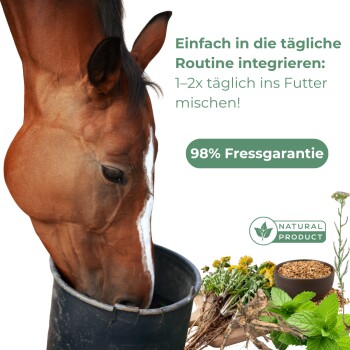 Pferd frisst aus einem Eimer mit deutschem Text zur täglichen Fütterungsroutine und 98% Fressgarantie, Naturprodukt-Label, Kräuter und Getreide.