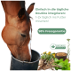 Pferd frisst aus einem Eimer mit deutschem Text zur täglichen Fütterungsroutine und 98% Fressgarantie, Naturprodukt-Label, Kräuter und Getreide.