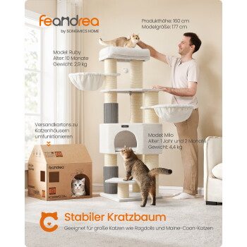 Beiger Kratzbaum mit zwei Katzen und einem Papp-Katzenhaus, ein Mann streichelt eine Katze; sichtbarer Text: feandrea, Stabiler Kratzbaum.
