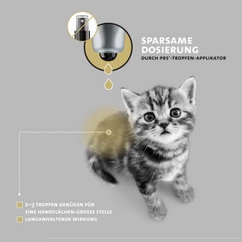 Ein graues Tabby-Kätzchen schaut neben einer Tropfenapplikator-Grafik mit Dosierungsanweisungen auf Deutsch auf.