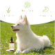 Braune Glasflasche mit BIO Bierhefe und Pipette, mit einem gelben Etikett, das Informationen über natürliche B-Vitamine für Hunde und Katzen enthält.